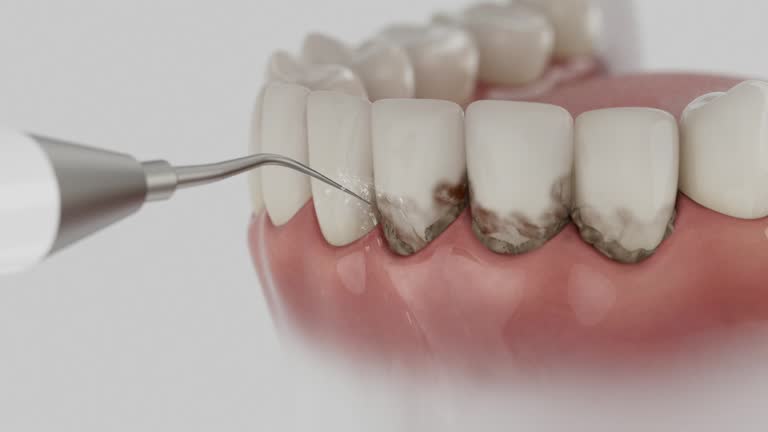 Reliable Dental contractor in Essex, IL by Dentist Open Now